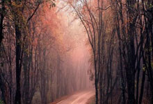 爱游戏AYX：CBA全明星星锐赛：大学生队一胜一负2025-03-02.