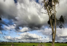 [NBA]蒙克反击妙传 埃利斯起飞空接炸扣.