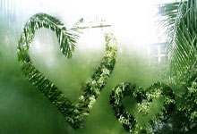 海露公开赛升至超级500级别赛事.