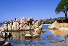 宫崎骏风格的足坛老照片第一季.